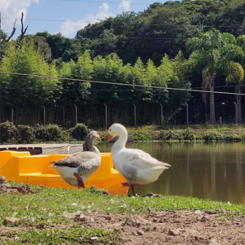 Morada dos Pássaros