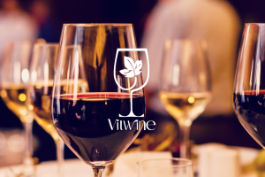 Branding e Direção Criativa