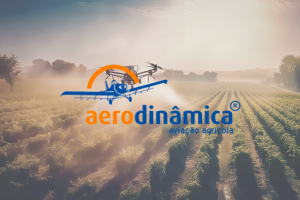 Presença Digital e Crescimento